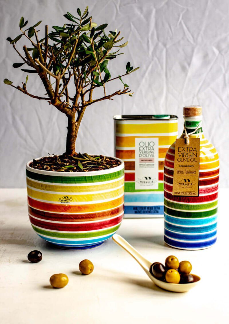 Frantoio-muraglia-Itaalia ekstra-neitsioliiviõli keraamilises “Green” pudelis “Muraglia MEDIUM FRUITY” 500 ml (keskmiselt puuviljane)-gardek